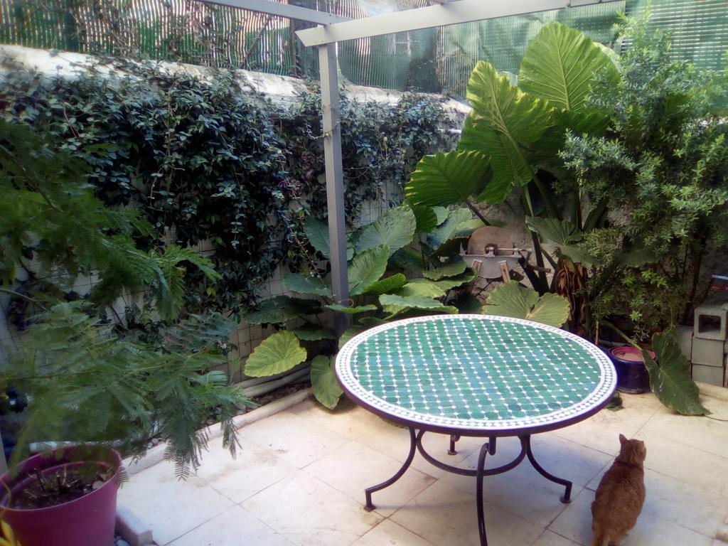 Chambres Et Table D'Hotes Le Jardin De Tesse Toulon Eksteriør billede